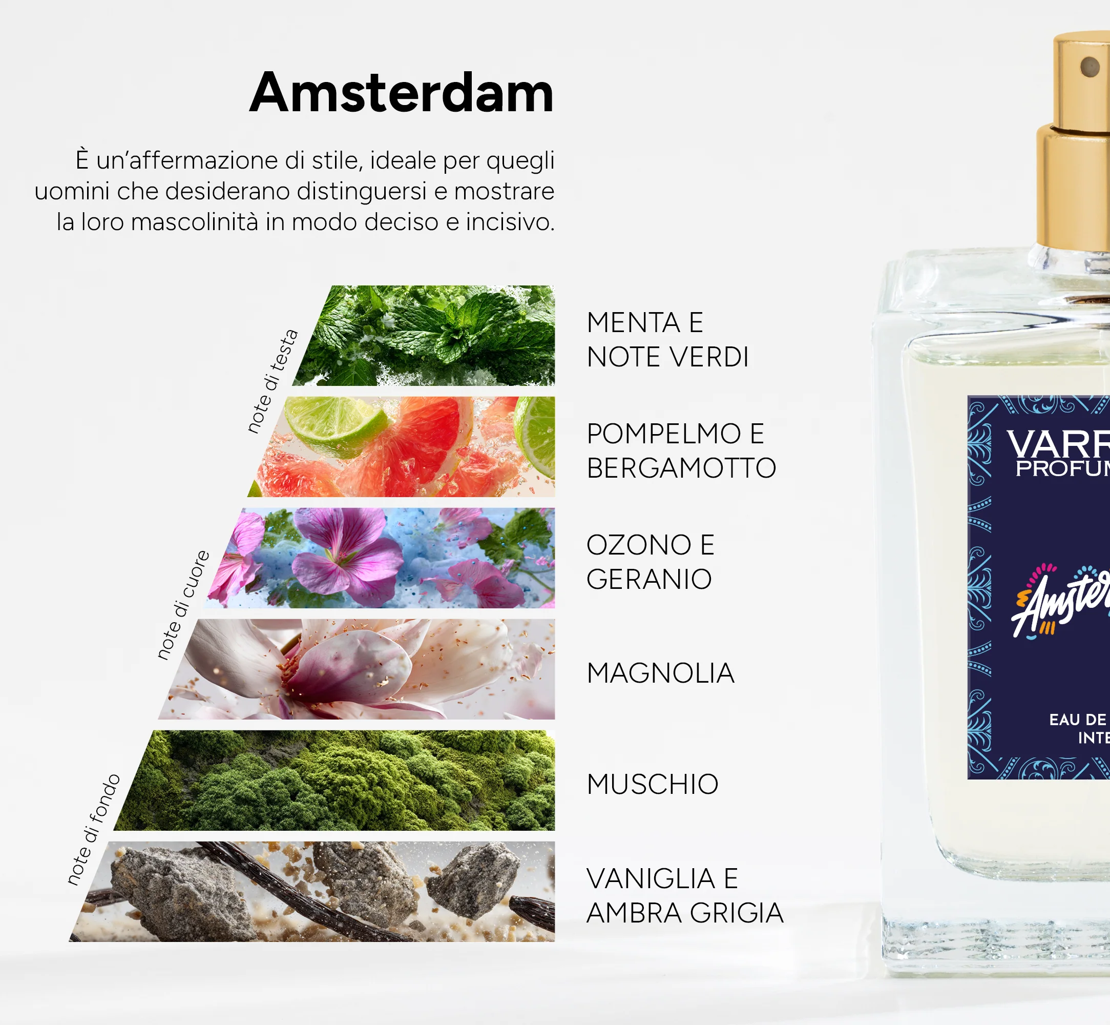 Amsterdam - Image 2